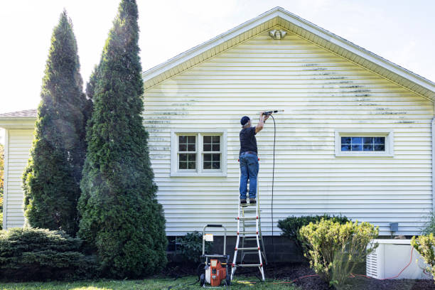 Best Solar Panel Cleaning  in Petoskey, MI